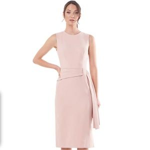 Kay Unger blush midi Raven dress